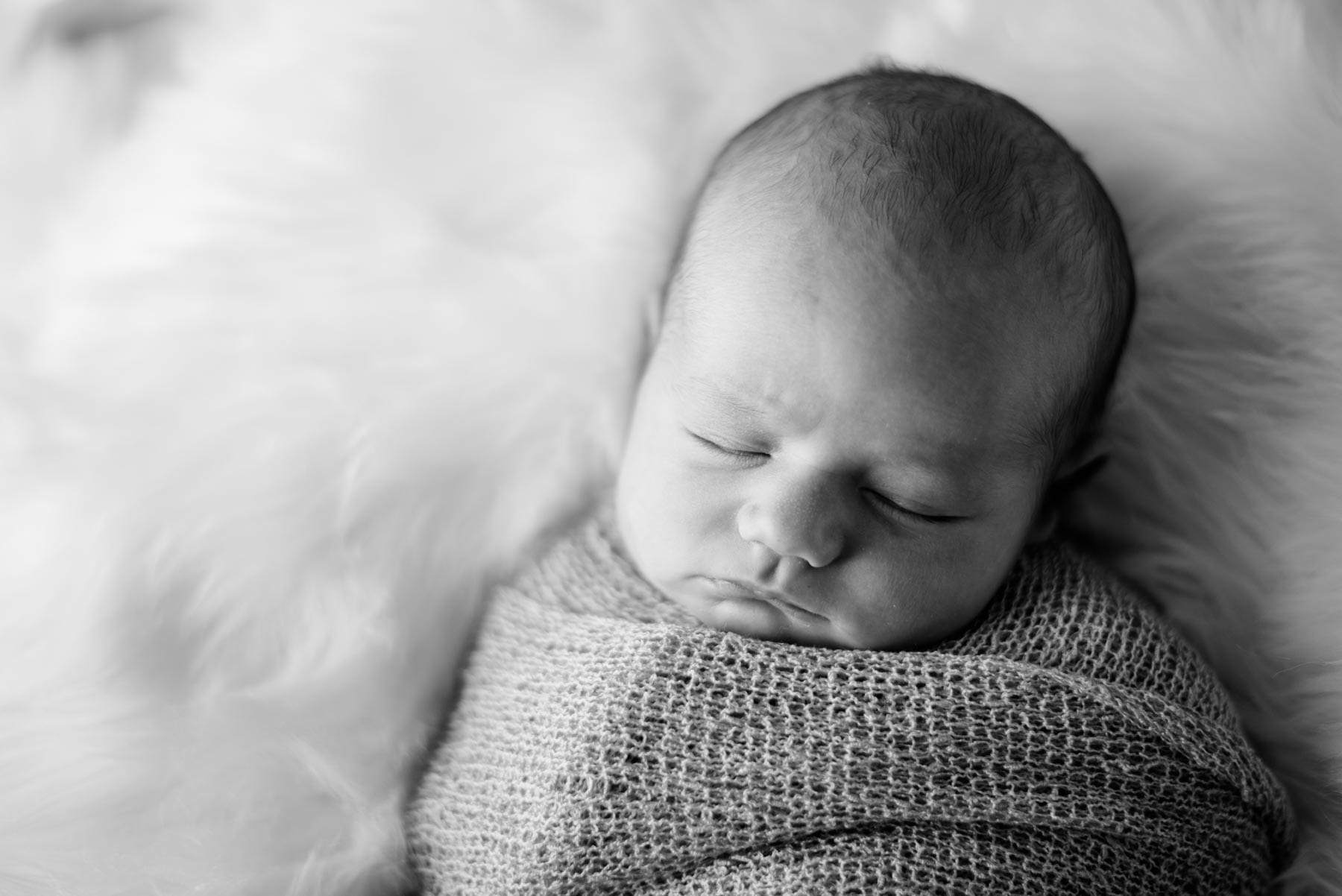 Fort Collins Newborn Photographer