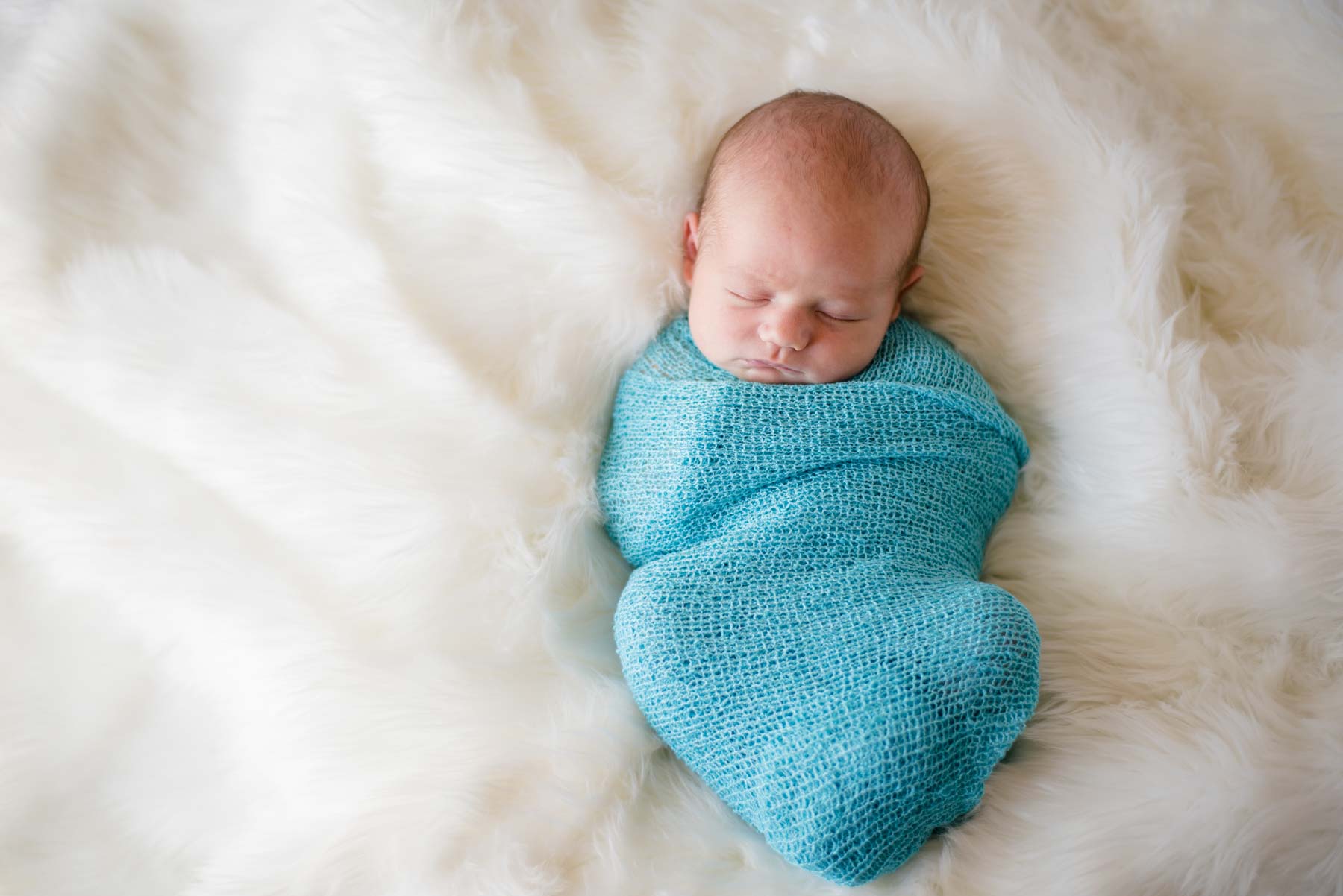 Fort Collins Newborn Photographer