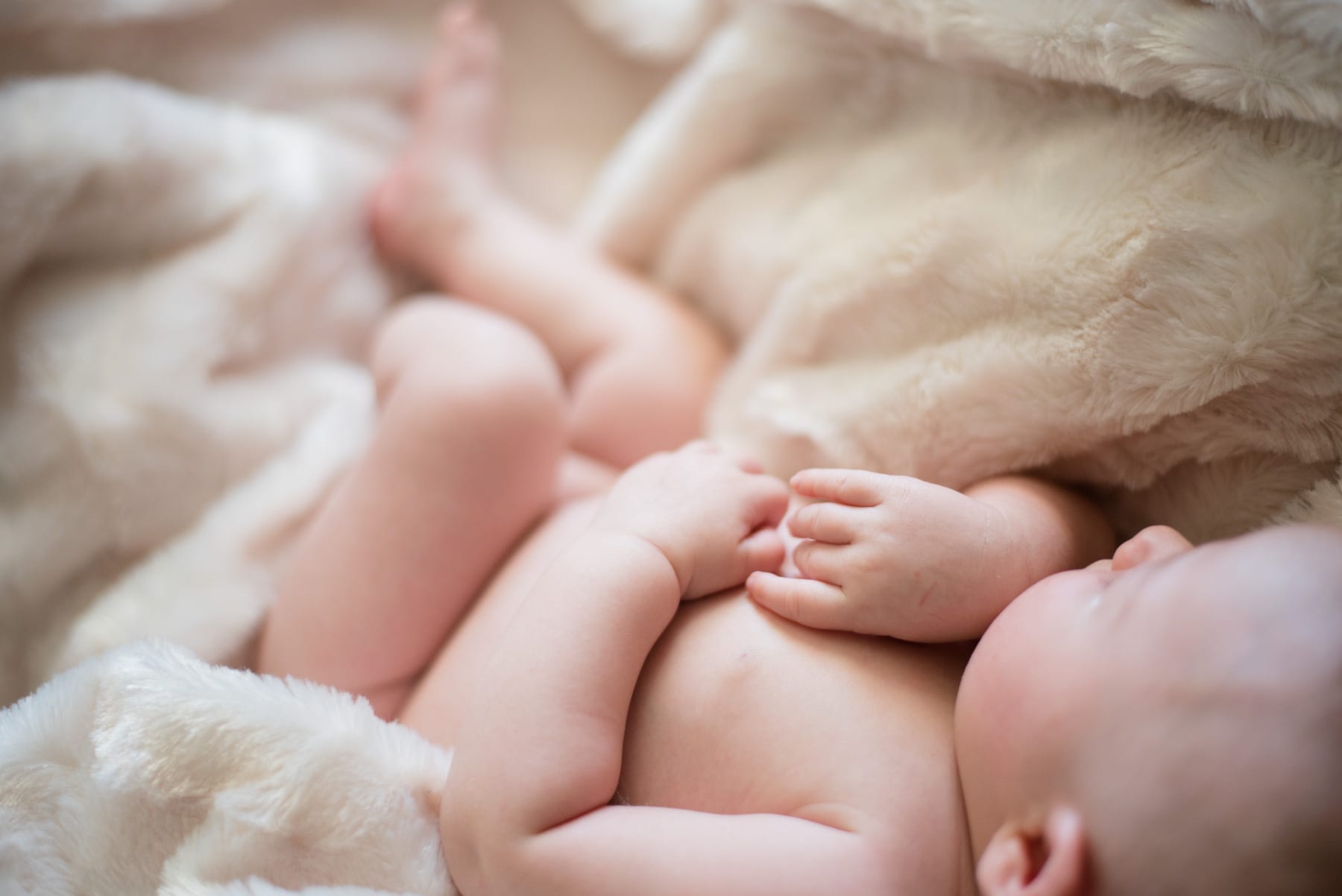 Fort Collins Newborn Photographer