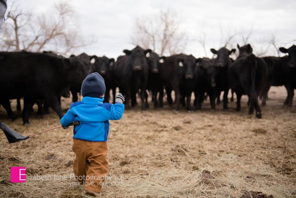 First Year | Nine Month Old | Fort Collins Children's Photographer